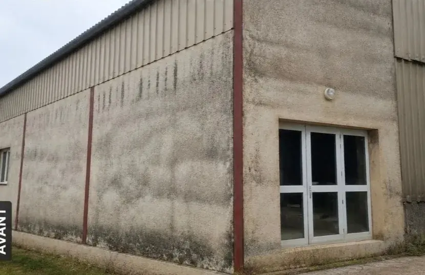 Façade enduite verdie, avant le nettoyage